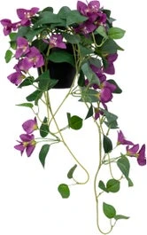 Intratuin Kunstplant Bougainville Paars 22 X 23 X 70 Cm 1 Intratuin Kunstplant Bougainville Paars 22 X 23 X 70 Cm