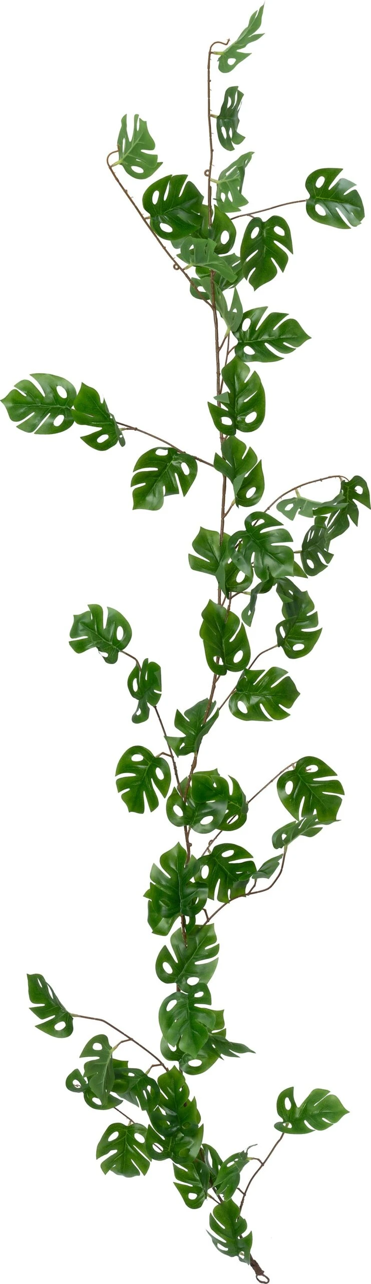Intratuin Kunstguirlande Monstera Groen H 170 Cm 1 Intratuin Kunstguirlande Monstera Groen H 170 Cm