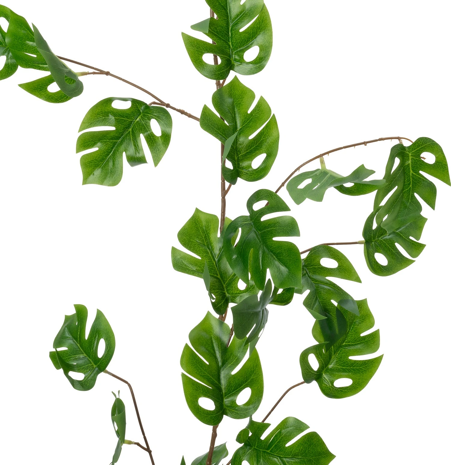 Intratuin Kunstguirlande Monstera Groen H 170 Cm 2 Intratuin Kunstguirlande Monstera Groen H 170 Cm - Afbeelding 2