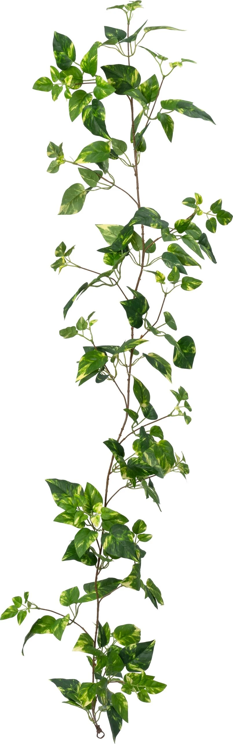 Intratuin Kunstguirlande Klimop Licht Groen H 170 Cm 1 Intratuin Kunstguirlande Klimop Licht Groen H 170 Cm