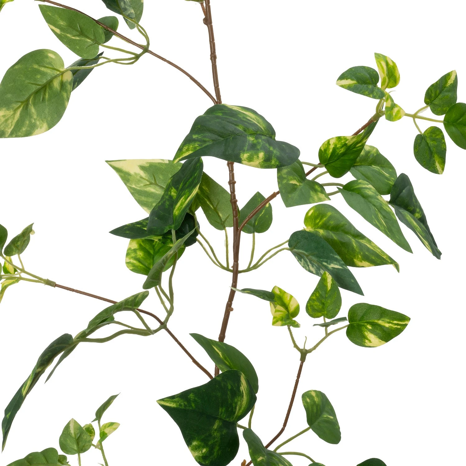 Intratuin Kunstguirlande Klimop Licht Groen H 170 Cm 2 Intratuin Kunstguirlande Klimop Licht Groen H 170 Cm - Afbeelding 2