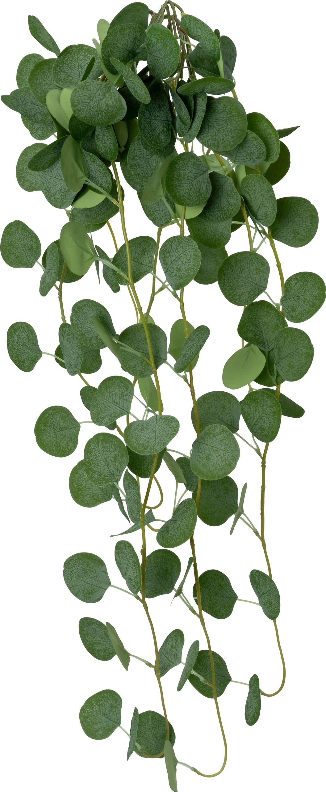 Intratuin Kunsthangplant Gomboom Grijsgroen 19 X 20 X 92 Cm 1 Intratuin Kunsthangplant Gomboom Grijsgroen 19 X 20 X 92 Cm