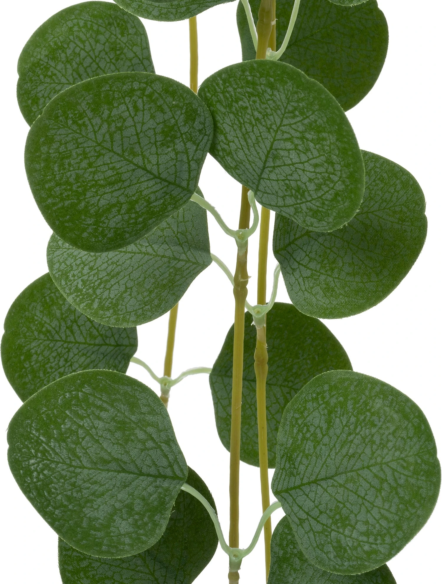 Intratuin Kunsthangplant Gomboom Grijsgroen 19 X 20 X 92 Cm 2 Intratuin Kunsthangplant Gomboom Grijsgroen 19 X 20 X 92 Cm - Afbeelding 2