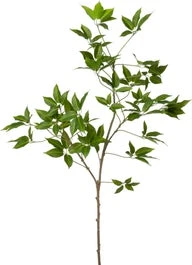 Intratuin Kunsttak Bamboe Groen H 102 Cm 1 Intratuin Kunsttak Bamboe Groen H 102 Cm