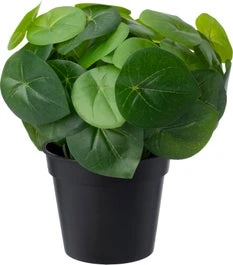 Intratuin Kunstplant Pannenkoekplant Groen 26 X 26 X 26 Cm 1 Intratuin Kunstplant Pannenkoekplant Groen 26 X 26 X 26 Cm