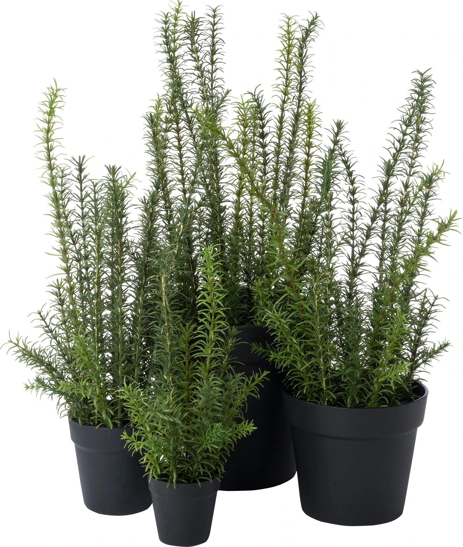 Intratuin Kunstplant Rozemarijn Paars 27 X 27 X 68 Cm 2 Intratuin Kunstplant Rozemarijn Paars 27 X 27 X 68 Cm - Afbeelding 2