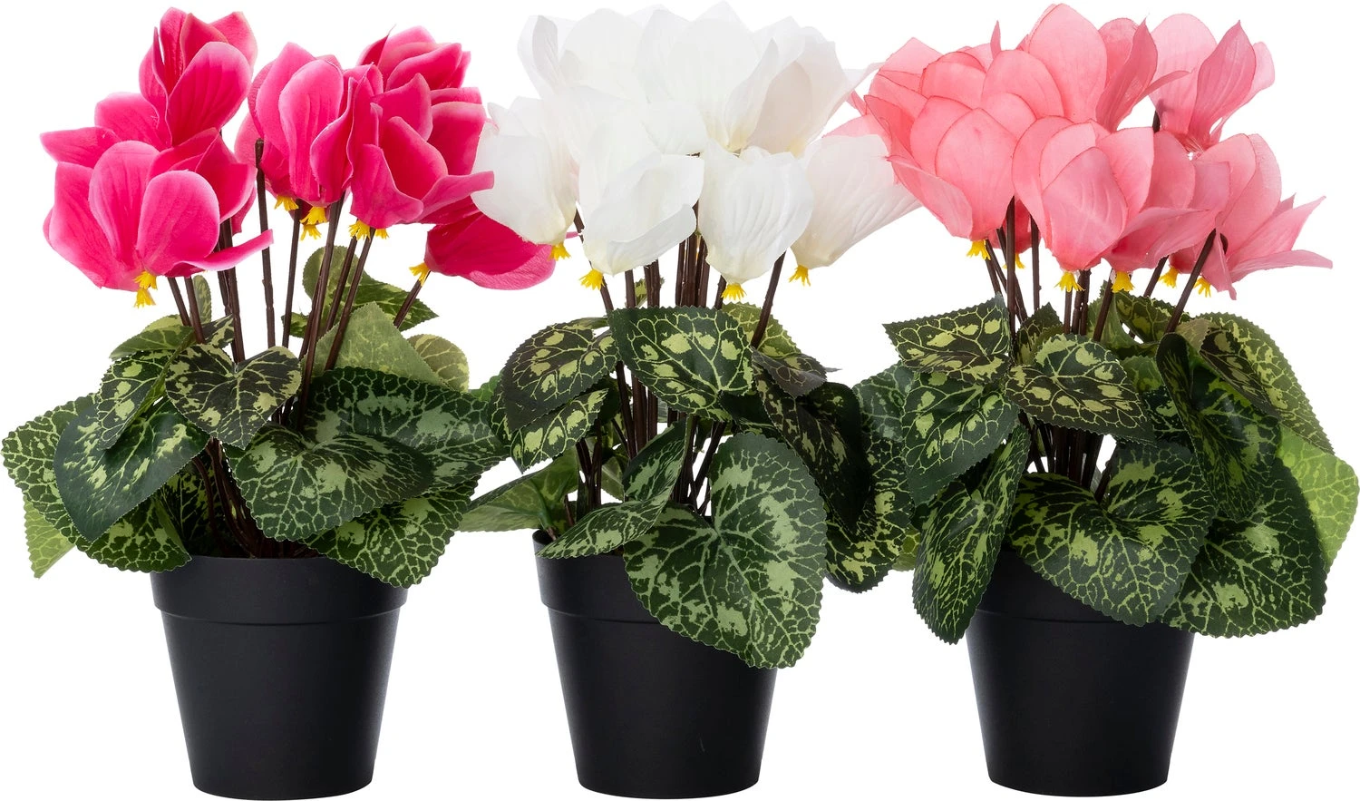 Intratuin Kunstplant Cyclaam Crème 9 X 9 X 28 Cm 2 Intratuin Kunstplant Cyclaam Crème 9 X 9 X 28 Cm - Afbeelding 2