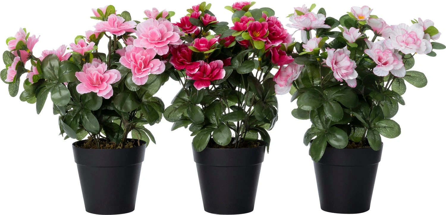 Intratuin Kunstplant Rhododendron Licht Roze 9 X 9 X 26 Cm 2 Intratuin Kunstplant Rhododendron Licht Roze 9 X 9 X 26 Cm - Afbeelding 2