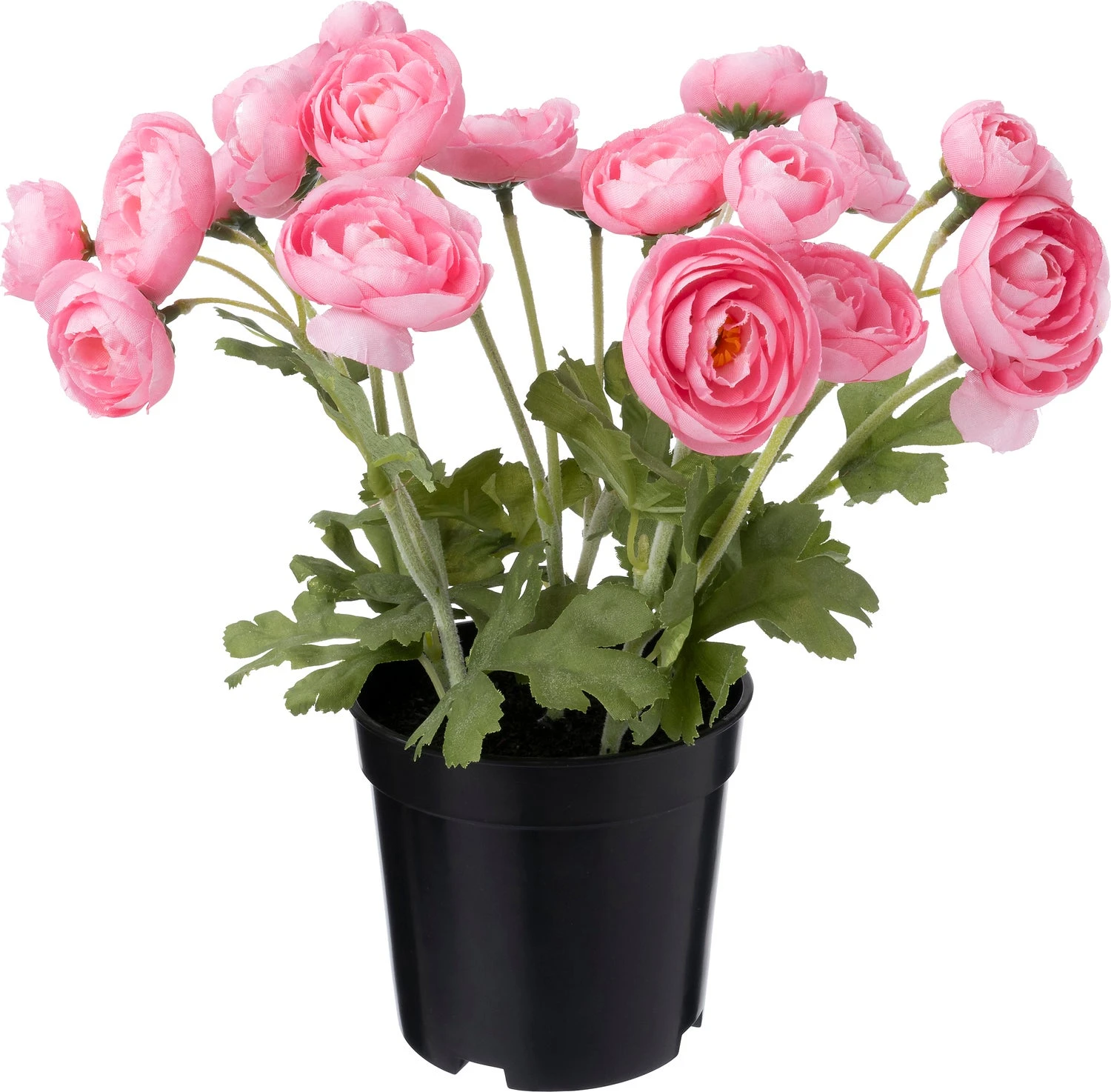 Intratuin Kunstplant Ranonkel Roze 11 X 11 X 26 Cm 1 Intratuin Kunstplant Ranonkel Roze 11 X 11 X 26 Cm