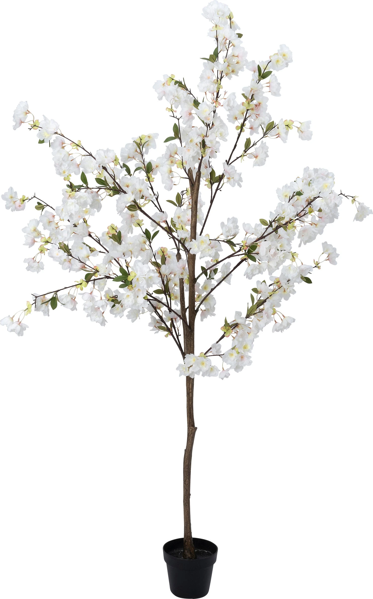 Intratuin Kunstplant Kersenbloesem Wit 17,5 X 17,5 X 180 Cm 1 Intratuin Kunstplant Kersenbloesem Wit 17,5 X 17,5 X 180 Cm