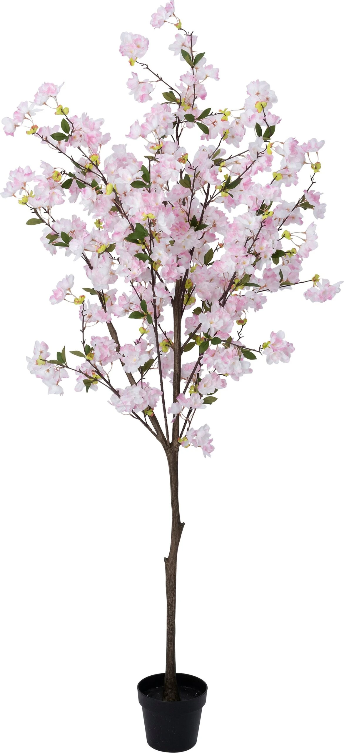 Intratuin Kunstplant Kersenbloesem Roze 17,5 X 17,5 X 180 Cm 1 Intratuin Kunstplant Kersenbloesem Roze 17,5 X 17,5 X 180 Cm