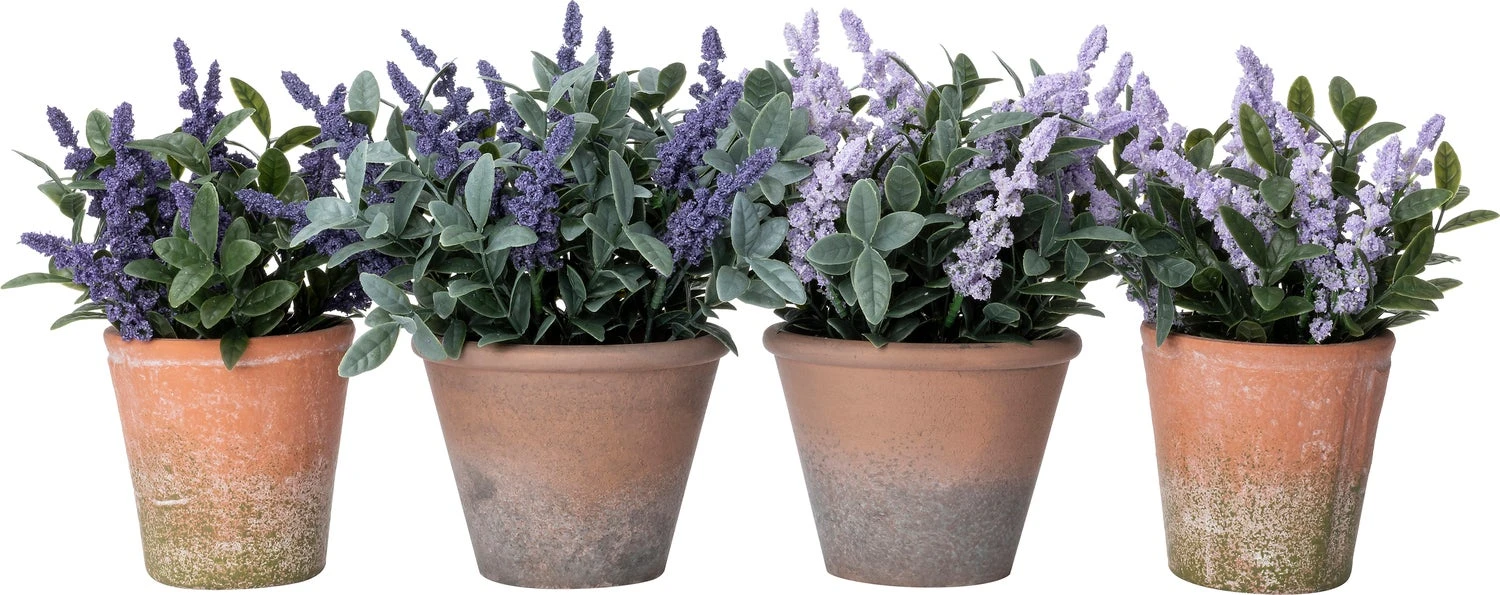Intratuin Kunstplant Lavendel Paars 10,5 X 10,5 X 21 Cm 2 Intratuin Kunstplant Lavendel Paars 10,5 X 10,5 X 21 Cm - Afbeelding 2