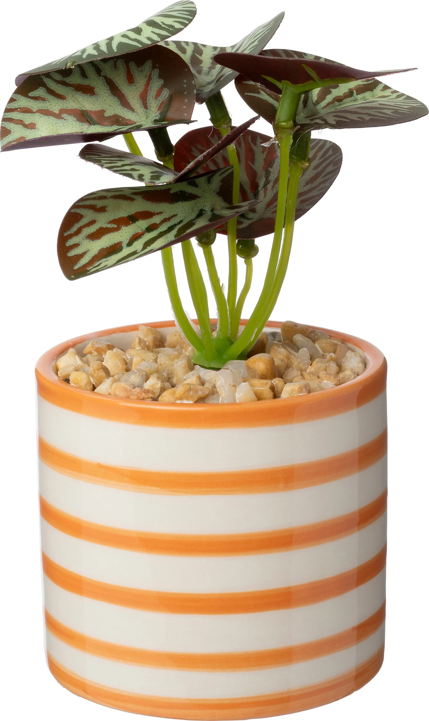 Intratuin Kunstplant Mini Peperomia Oranje 10 X 7 X 13 Cm 1 Intratuin Kunstplant Mini Peperomia Oranje 10 X 7 X 13 Cm
