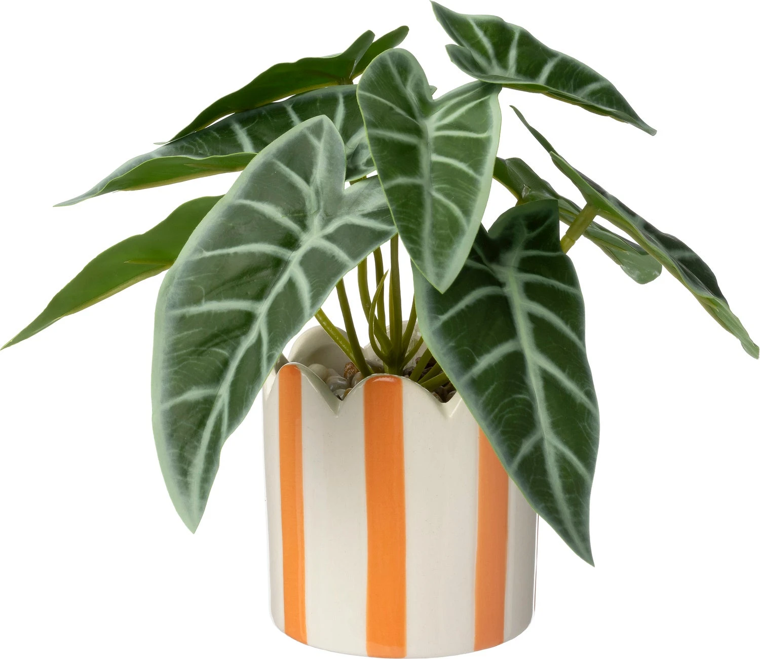 Intratuin Kunstplant Skeletplant Oranje 16 X 15 X 16 Cm 1 Intratuin Kunstplant Skeletplant Oranje 16 X 15 X 16 Cm