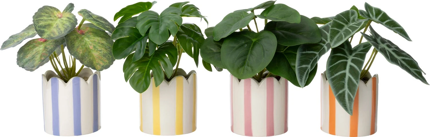 Intratuin Kunstplant Skeletplant Oranje 16 X 15 X 16 Cm 2 Intratuin Kunstplant Skeletplant Oranje 16 X 15 X 16 Cm - Afbeelding 2