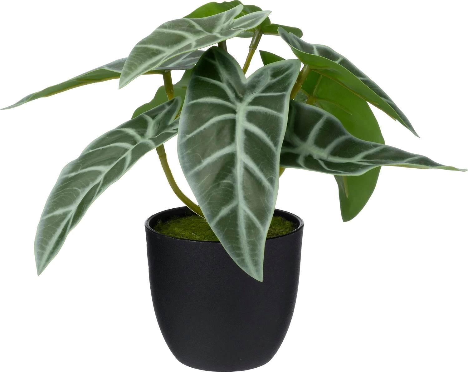 Intratuin Kunstplant Alocasia Groen 16 X 15 X 16 Cm 1 Intratuin Kunstplant Alocasia Groen 16 X 15 X 16 Cm