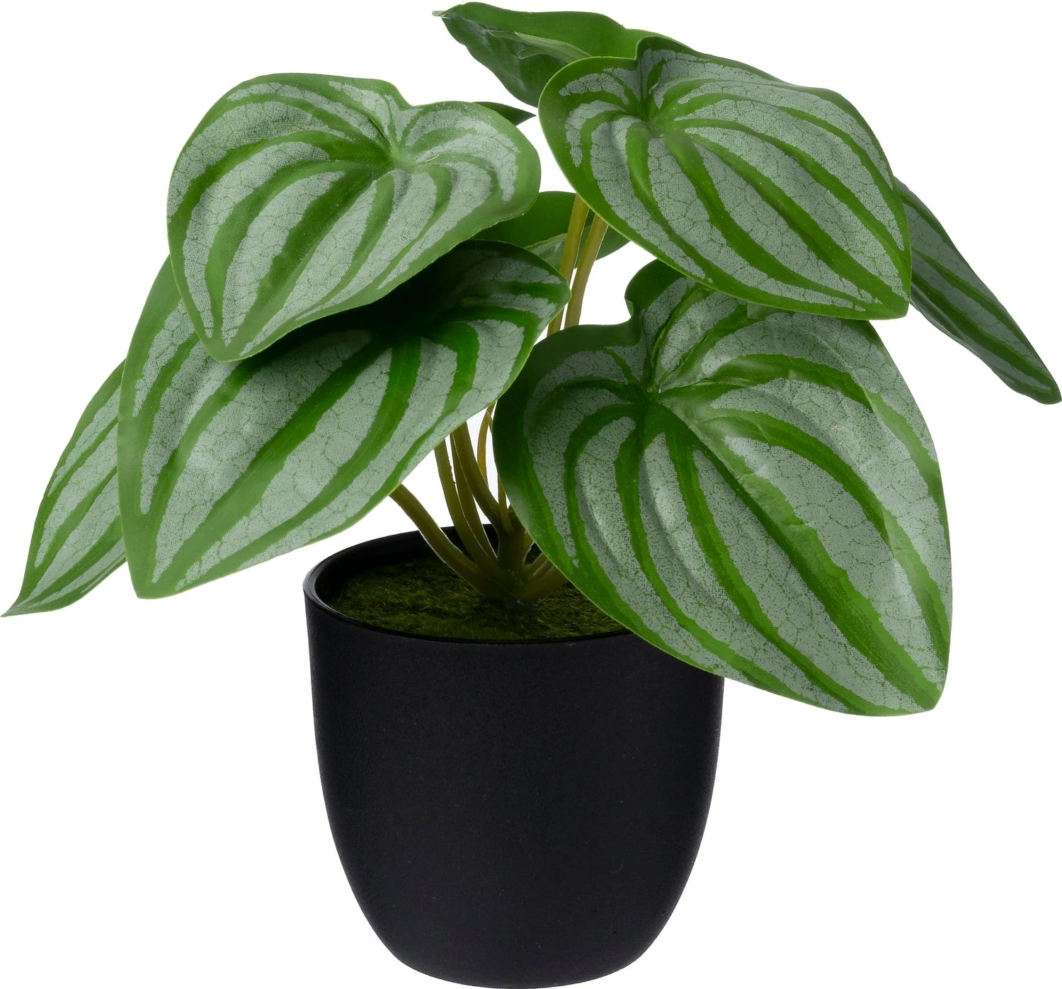 Intratuin Kunstplant Calathea Groen 16 X 15 X 16 Cm 1 Intratuin Kunstplant Calathea Groen 16 X 15 X 16 Cm