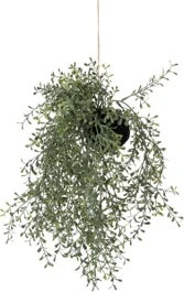 Intratuin Kunsthangplant Met Fijne Bladeren Groen 15 X 15 X 38 Cm 1 Intratuin Kunsthangplant Met Fijne Bladeren Groen 15 X 15 X 38 Cm