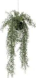 Intratuin Kunsthangplant Met Fijne Bladeren Groen 30 X 30 X 66 Cm 1 Intratuin Kunsthangplant Met Fijne Bladeren Groen 30 X 30 X 66 Cm