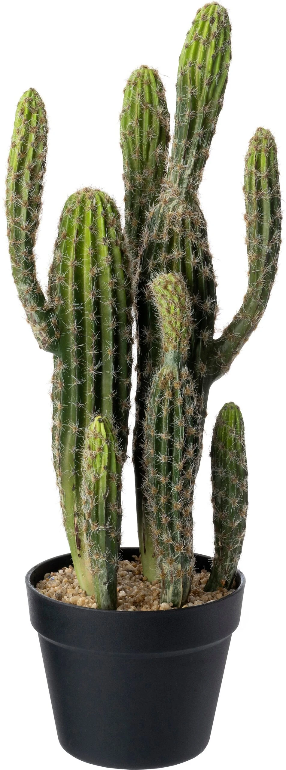 Intratuin Kunstplant Cactus Groen 22 X 17 X 60 Cm 1 Intratuin Kunstplant Cactus Groen 22 X 17 X 60 Cm