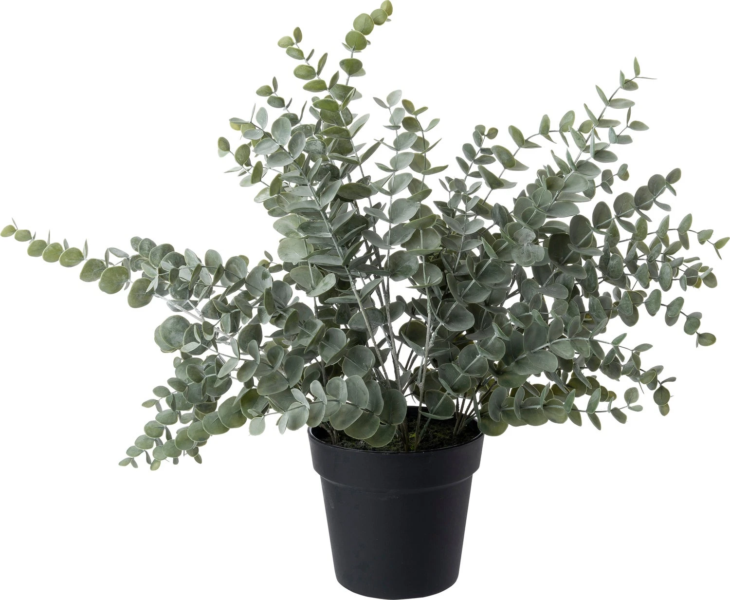 Intratuin Kunstplant Gomboom Grijsgroen 45 X 45 X 60 Cm 1 Intratuin Kunstplant Gomboom Grijsgroen 45 X 45 X 60 Cm