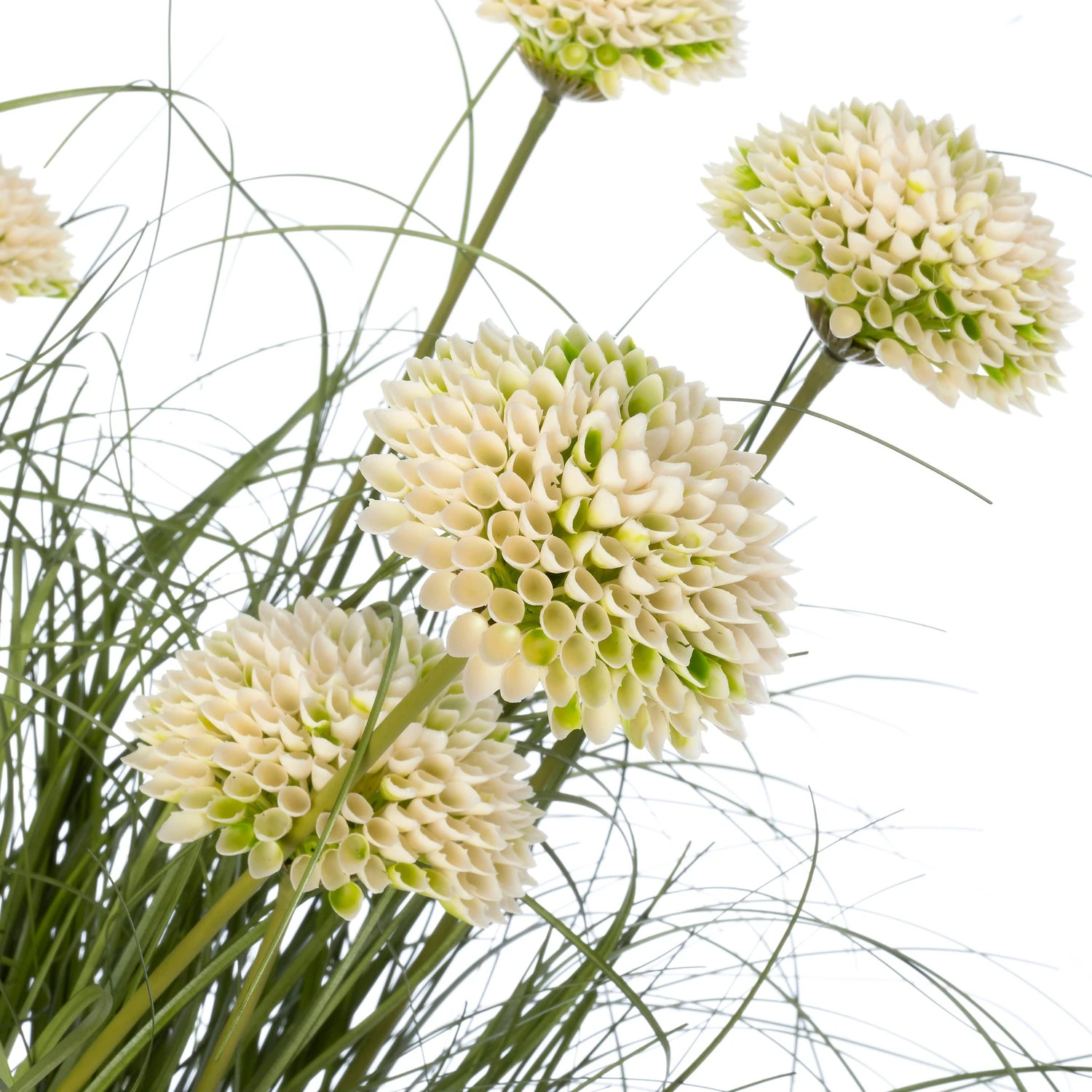 Intratuin Kunstplant Siergras Met Bloem Crème 60 X 60 X 100 Cm 2 Intratuin Kunstplant Siergras Met Bloem Crème 60 X 60 X 100 Cm - Afbeelding 2