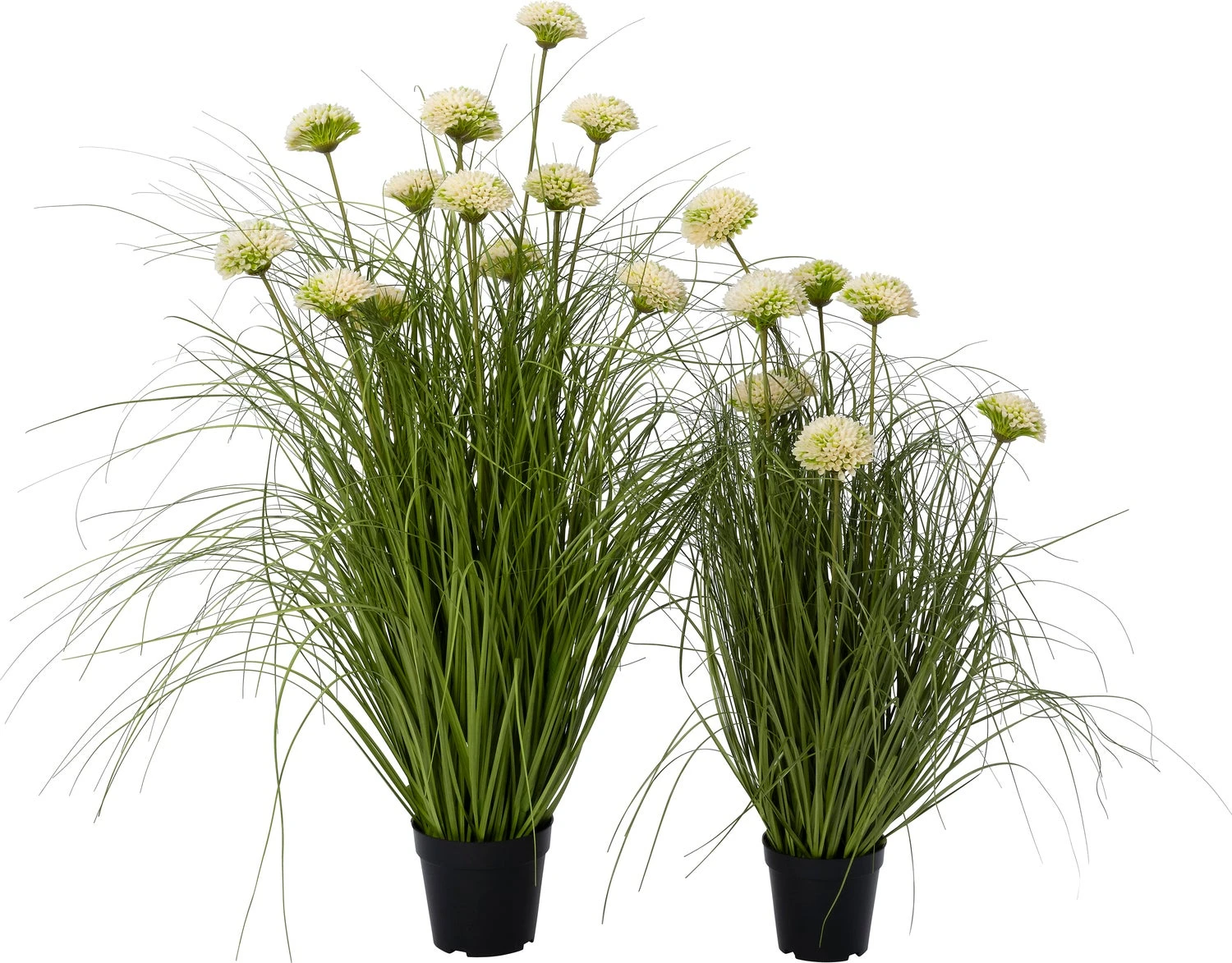 Intratuin Kunstplant Siergras Met Bloem Crème 60 X 60 X 100 Cm 3 Intratuin Kunstplant Siergras Met Bloem Crème 60 X 60 X 100 Cm - Afbeelding 3