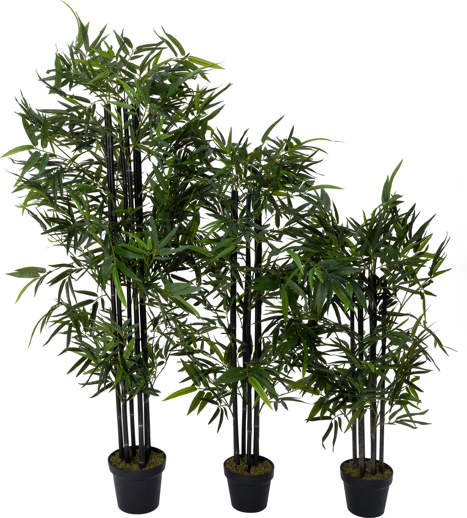 Intratuin Kunstplant Bamboe Zwart 50 X 50 X 170 Cm 2 Intratuin Kunstplant Bamboe Zwart 50 X 50 X 170 Cm - Afbeelding 2