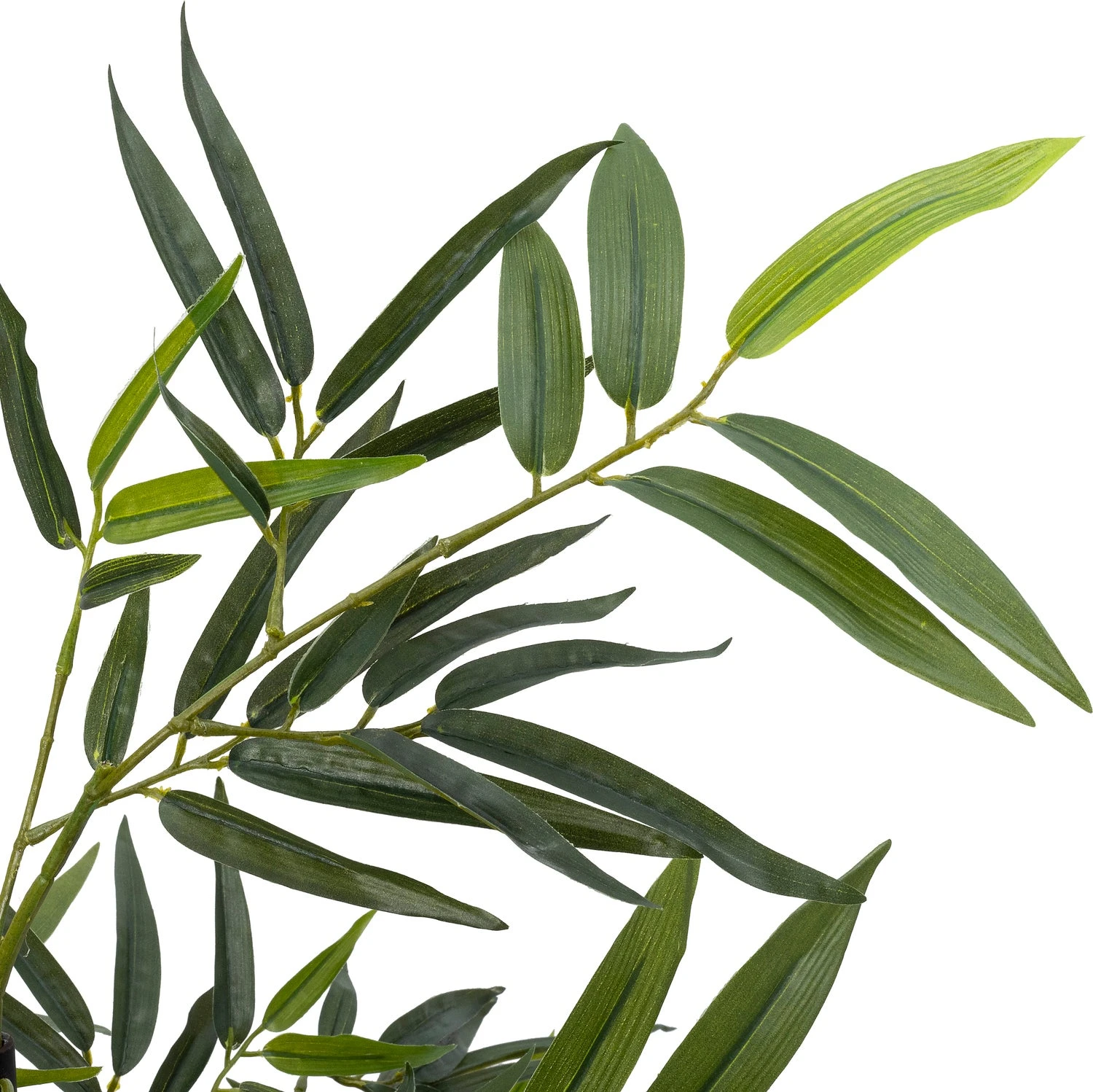 Intratuin Kunstplant Bamboe Zwart 50 X 50 X 170 Cm 3 Intratuin Kunstplant Bamboe Zwart 50 X 50 X 170 Cm - Afbeelding 3