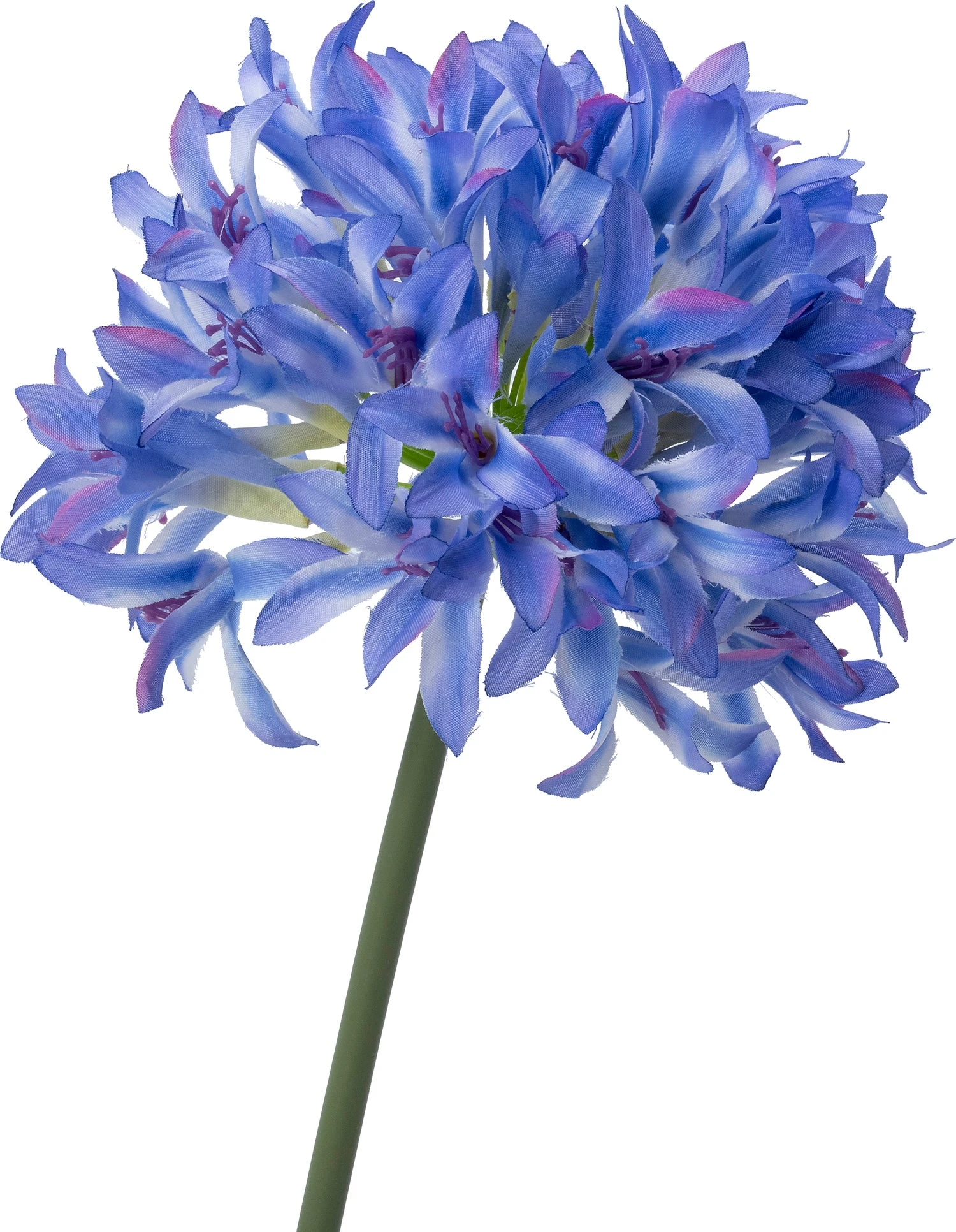 Intratuin Kunstplant Afrikaanse Lelie Paars 45 X 40 X 82 Cm 2 Intratuin Kunstplant Afrikaanse Lelie Paars 45 X 40 X 82 Cm - Afbeelding 2