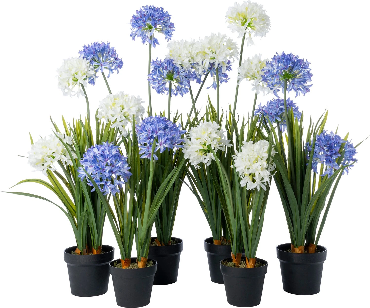 Intratuin Kunstplant Afrikaanse Lelie Paars 45 X 40 X 82 Cm 3 Intratuin Kunstplant Afrikaanse Lelie Paars 45 X 40 X 82 Cm - Afbeelding 3