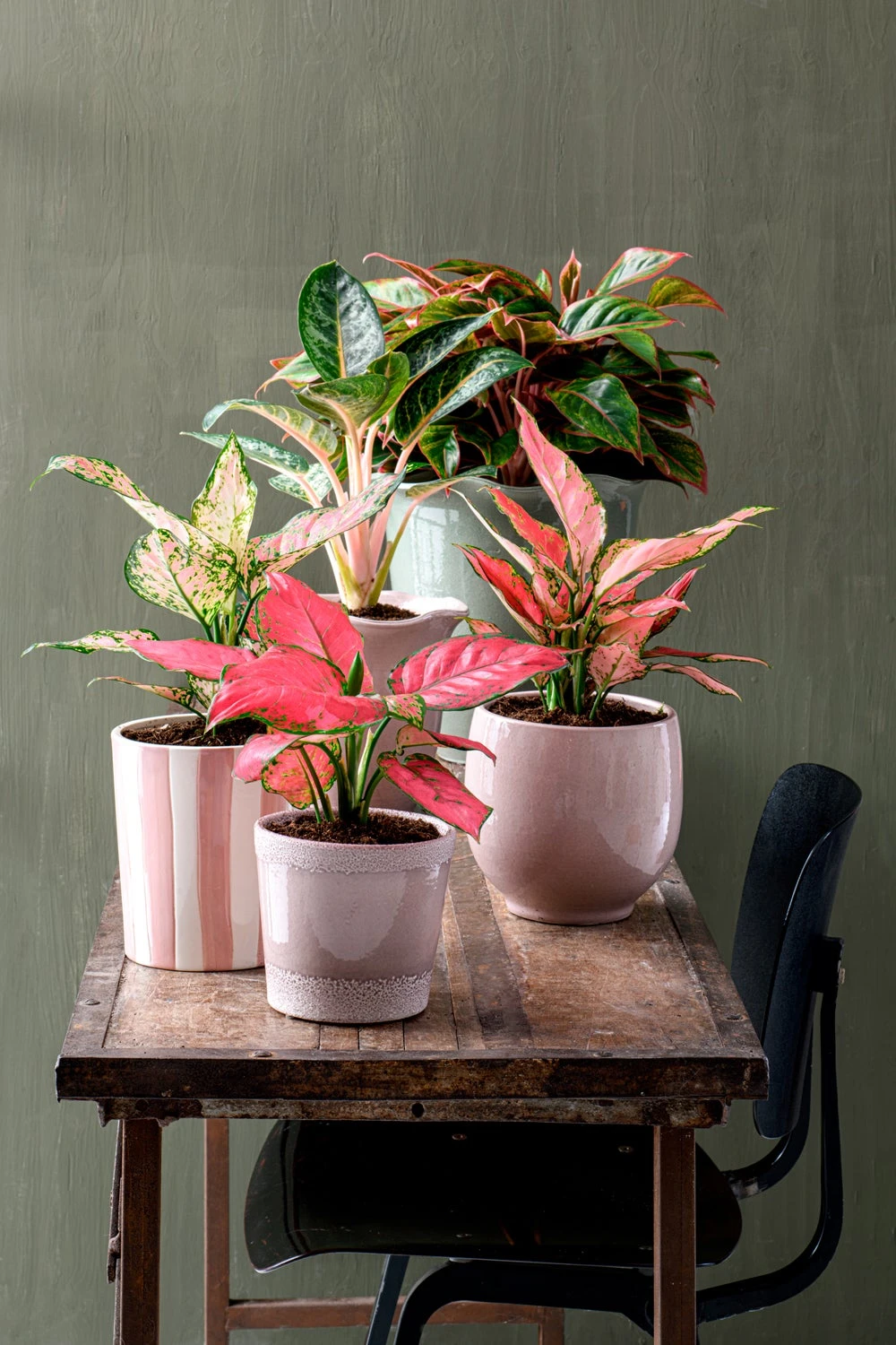 Intratuin Bloempot Country Groen D 29 H 29 Cm 4 Intratuin Bloempot Country Groen D 29 H 29 Cm - Afbeelding 4