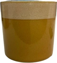 Intratuin Bloempot Max Oranje D 13 H 13 Cm 1 Intratuin Bloempot Max Oranje D 13 H 13 Cm