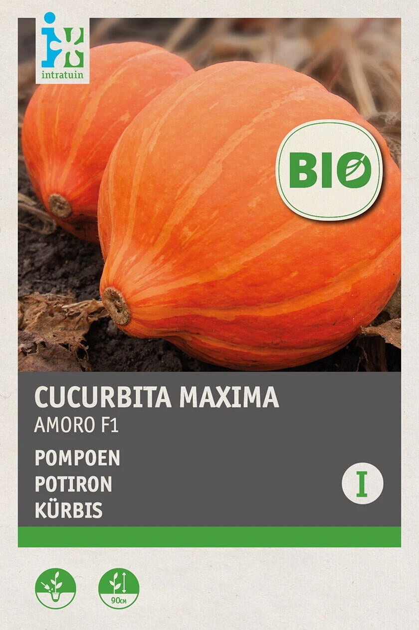 Intratuin Biologisch Groentezaden Pompoen (Cucurbita Maxima 'Amoro F1') 1 Intratuin Biologisch Groentezaden Pompoen (Cucurbita Maxima 'Amoro F1')