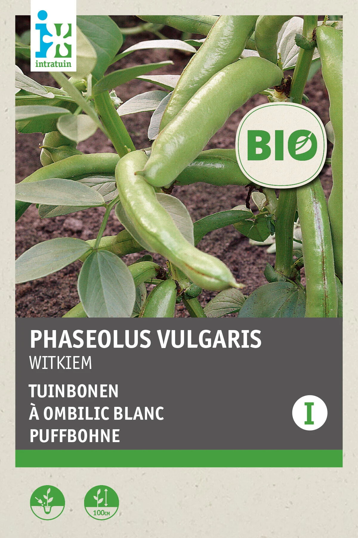 Intratuin Biologisch Groentezaden Tuinboon (Vicia Faba 'Witkiem') 1 Intratuin Biologisch Groentezaden Tuinboon (Vicia Faba 'Witkiem')