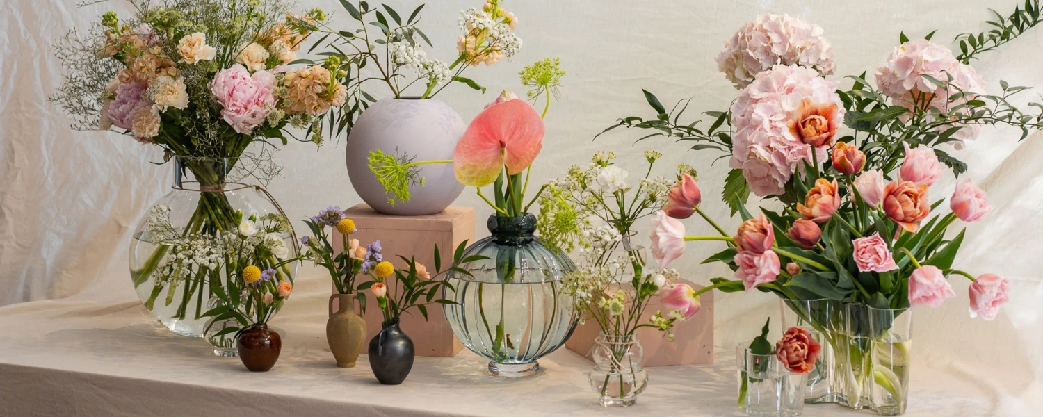 De Kracht van Groen – Waarom Planten Onmisbaar Zijn in Huis -Intratuin Winkel 2cd22844 9c31 4f8c 9fdf 3ab0ca2a