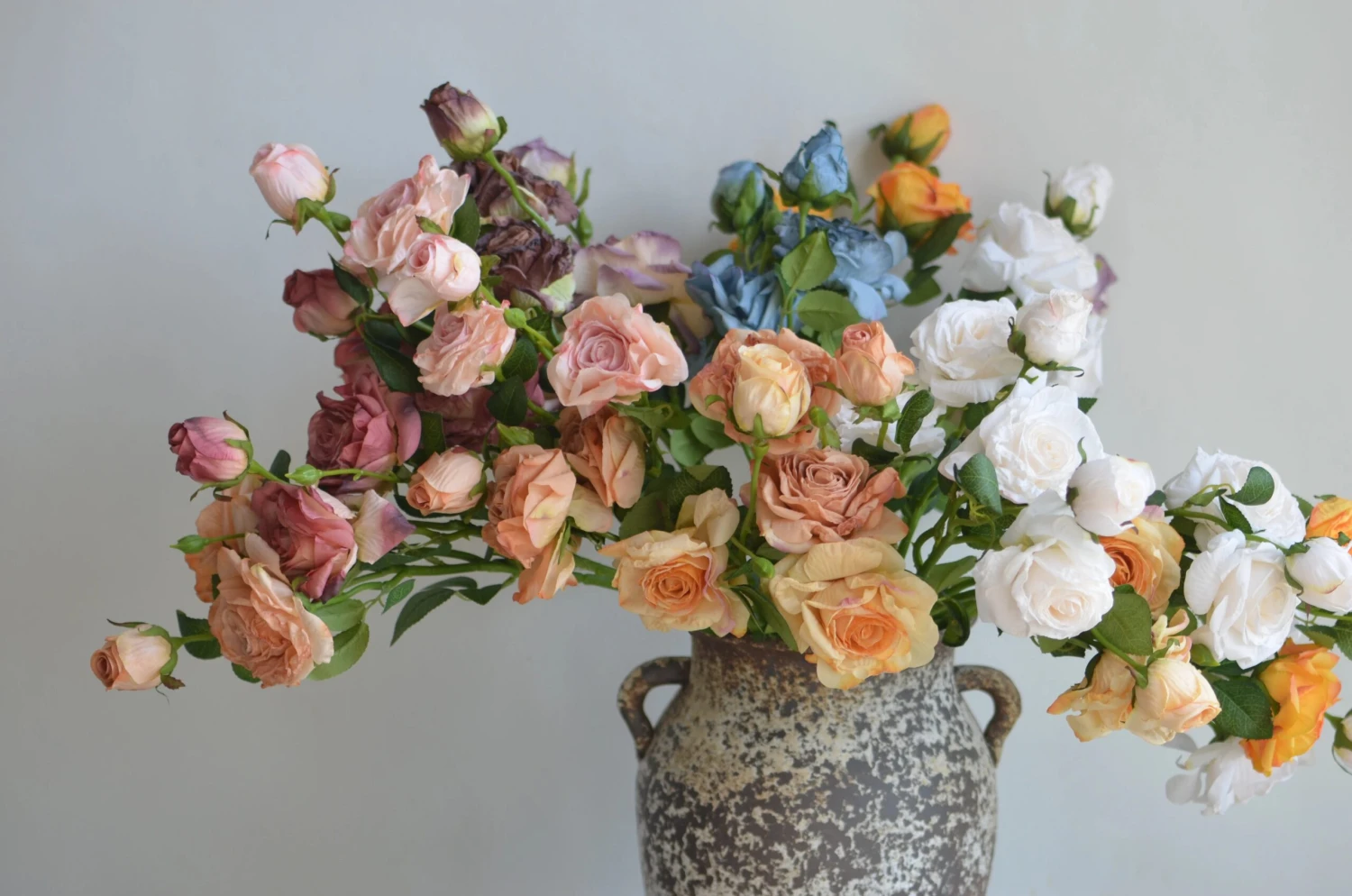 Intratuin Winkel -Intratuin Winkel S3d62ac98ef9942ca8b421066372ed23 scaled