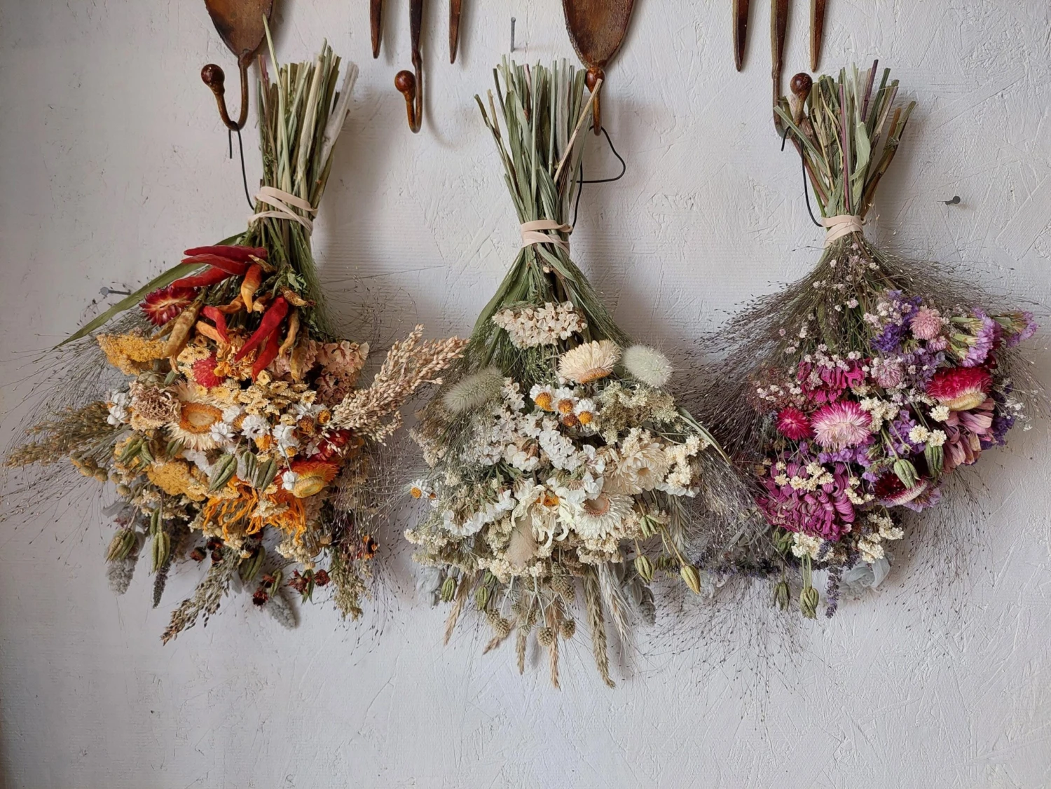 Intratuin Winkel -Intratuin Winkel il fullxfull.7184834842 m66n scaled